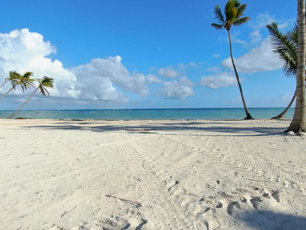 Comment découvrir les traditions de la pêche à la sardine en Portugal : festivals et événements ?